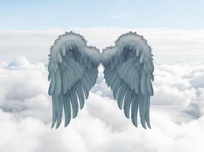 რას გვკარნახობს ციფრები: გაიგეთ, რომელი მფარველი ანგელოზის კოდი განსაზღვრავს თქვენს ბედს 2026 წლის გაზაფხულზე