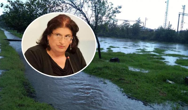 "უხვი ნალექის შედეგად, შესაძლოა, ყველა მეწყრული პროცესი გააქტიურდეს - მდინარეებს კალაპოტებში სახლი არ უნდა ჩავუდგათ" - რას ამბობს ნინო ჩხობაძე