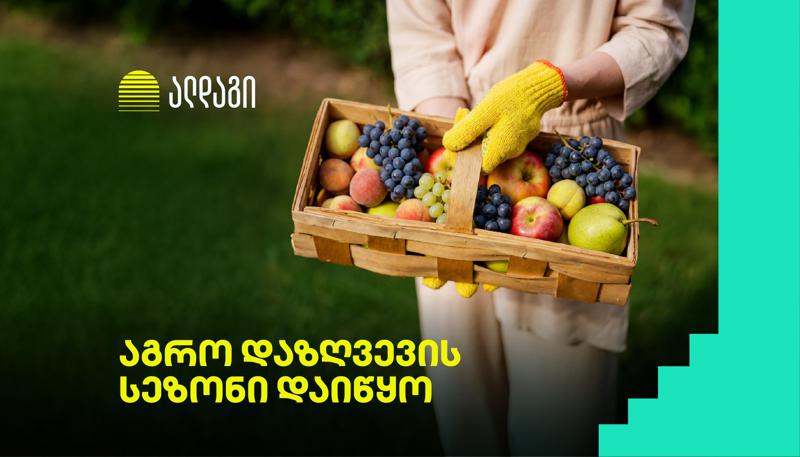 აგრო დაზღვევა ალდაგში ყველაზე სწრაფი ანაზღაურებით