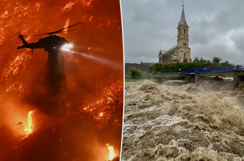 "ეკოლოგიური არმაგედონის" პროგნოზი: "2085 წლისთვის შესაძლოა, ხმელეთზე მობინადრე ცხოველთა გადაშენების პროცესი დაჩქარდეს" - რა აჩვენა ახალმა კვლევამ