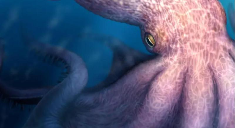 საზარელი მტაცებელი მძლავრი ყბებითა და გენიალური ტვინით - მეცნიერები მიიჩნევენ, რომ 100 მილიონი წლის წინ ოკეანეებში გიგანტური რვაფეხები ცხოვრობდნენ