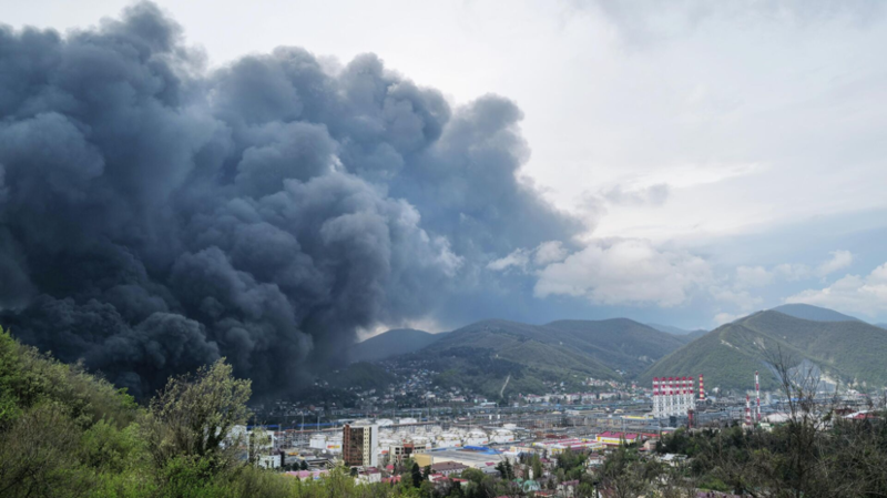 "შავი წვიმა",  შავ ზღვაში ჩაღვრილი ნავთობი და ასობით მოწამლული ცხოველი - ტუაფსეში მასშტაბური ეკოლოგიური კატასტროფაა