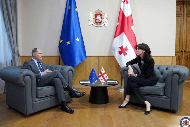 “სურათი, რომელსაც ვხედავთ, მიუღებელია - ხელისუფლება ყველაზე კარგად გრძნობს, რომელი გზის გასაყარზე დგას საქართველო“ - მაკა ბოჭორიშვილი პაველ ჰერჩინსკიზე