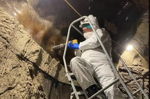 ისინი 40 000 წლის შემდეგ დაბრუნდნენ: ალასკაზე გამყინვარების ხანის არსებები გაცოცხლდნენ