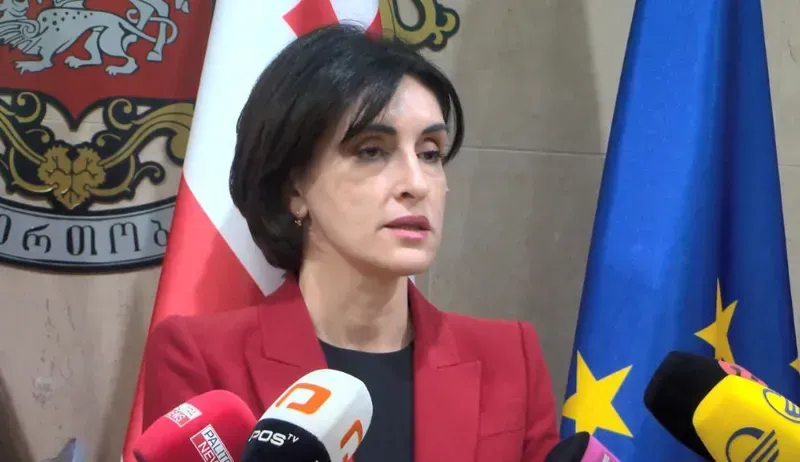 რას ამბობს მაკა ბოჭორიშვილი  აშშ-ის სახელმწიფო დეპარტამენტის დელეგაციასთან გამართულ შეხვედრაზე?