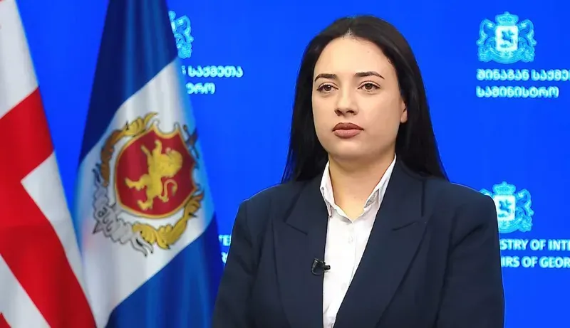 სიძულვილის ენის წინააღმდეგ ბრძოლის სამმართველოს თამთა ქიმბარიშვილი უხელმძღვანელებს - სამმართველოს 10 თანამშრომელი ეყოლება
