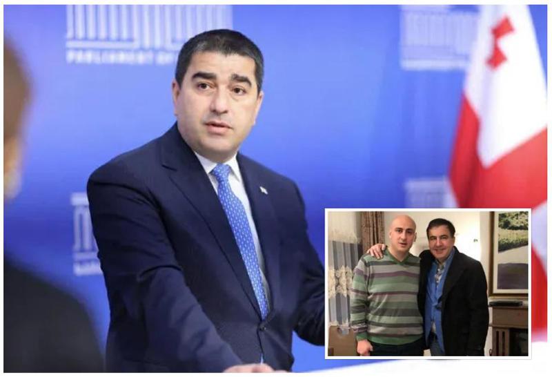 "ისემც უქნიათ, დაუჭამიათ ერთმანეთი" - შალვა პაპუაშვილი მიხეილ სააკაშვილსა და ნიკა მელიას შორის დაპირისპირებაზე
