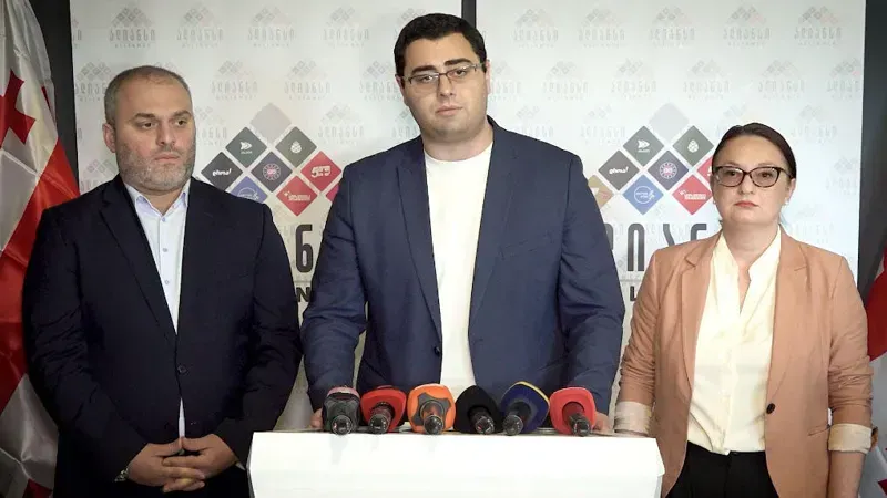 "გვაქვს ინფორმაცია, რომ არსებობენ ადამიანები, ვისაც აქვთ სისტემური ძალადობის ამსახველი მასალა, მოგმართავთ, გაასაჯაროოთ" - "ოპოზიციის ალიანსი"