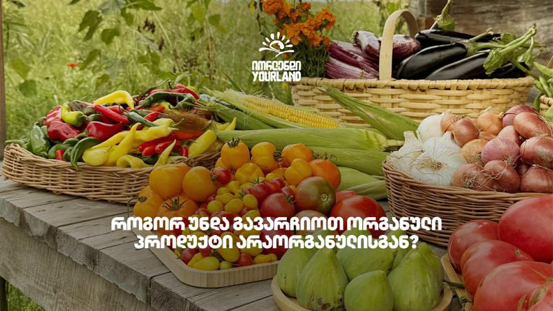 როგორ უნდა გავარჩიოთ ორგანული პროდუქტი არაორგანულისგან?