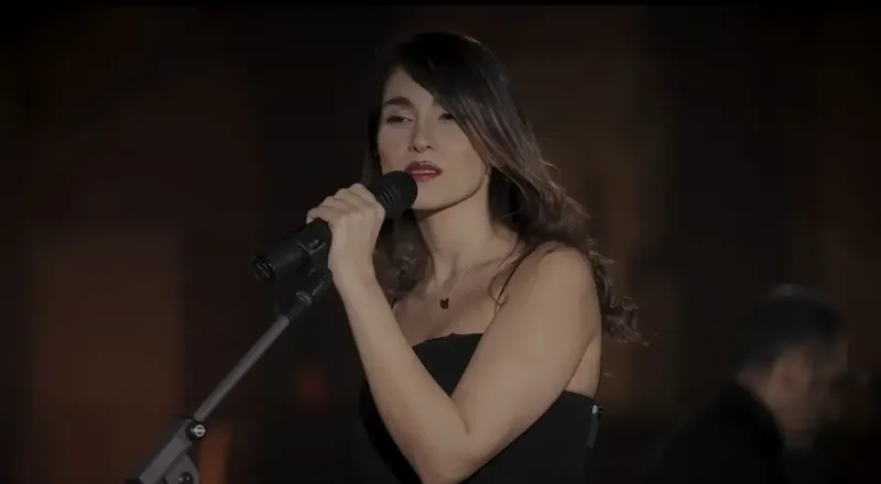ირანელ მუსიკოსს, ჰიჯაბის გარეშე შესრულებული სიმღერის გამო 74-ჯერ გაროზგვა მიუსაჯეს