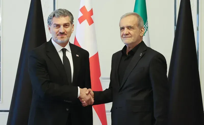 მიხეილ ყაველაშვილი ირანის პრეზიდენტს შეხვდა
