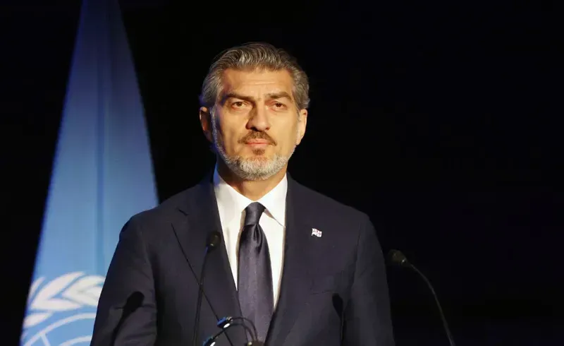 რა თქვა მიხეილ ყაველაშვილმა "ხელოვნური ინტელექტის მმართველობის შესახებ" გაეროში სიტყვით გამოსვლისას