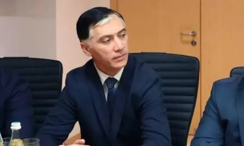პოლიციის მაღალჩინოსანს მეუღლე ფიზიკურ ძალადობასა და მუქარაში ადანაშაულებს - იოსებ სიგუას ელექტრონული სამაჯური შეაბეს