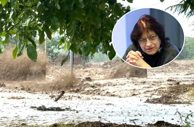"ჩვენ გვაქვს შვიდივე საფრთხე - გვალვა, წყალი, სეტყვა, წყალდიდობა, ღვარცოფი... კლიმატური ცვლილებების ფონზე დენის და გაზის გაყვანილობებიც დეგრადირდება" - ჩხობაძე