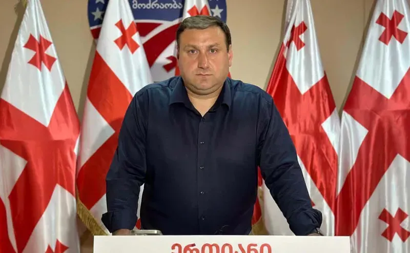 "ნაციონალური მოძრაობა“ ჰორიზონტალურ მმართველობაზე გადადის" - ლაშა ფარულავა