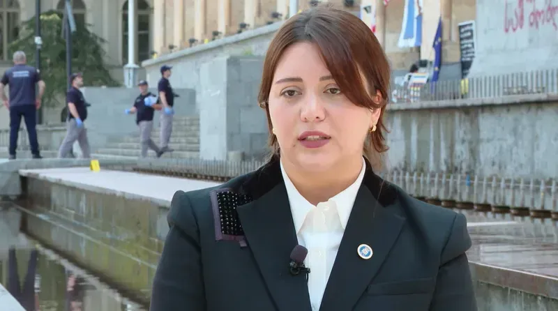 "გრიგოლ ლილუაშვილის დაცვის წევრების ჩვენებები არსებითი მნიშვნელობის არ არის - ერთ-ერთს გამოკითხვის ოქმში უწერია: "დავგუგლე“ და არ მყავს ნანახიო“ - პროკურორი