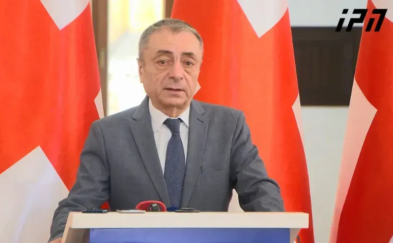 "ვინც სახელმწიფო ინსტიტუტებს ცნობს, სახელმწიფოც გადადგამს მისკენ ნაბიჯს" - თენგიზ შარმანაშვილი აქციებზე დაკავებული პირების შეწყალებაზე