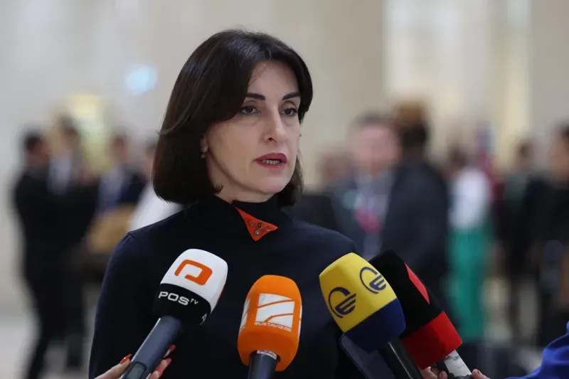 "დაგეგმილია პრემიერ-მინისტრის მიმართვა გაეროს გენერალური ასამბლეის ფარგლებში, სადაც გაჟღერებული იქნება მთავარი გზავნილები საქართველოდან" - მაკა ბოჭორიშვილი