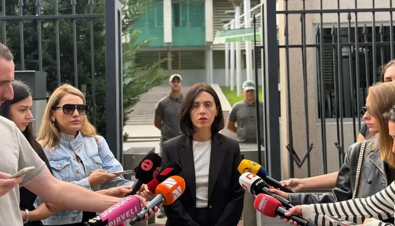 "როცა სუს-ის უფროსები პანტაპუნტად იცვლებიან, სუს-ის თანამშრომლები თავს იკლავენ - რა ხდება ამ დახურულ სისტემაში ასეთი?" - ანა წითლიძე