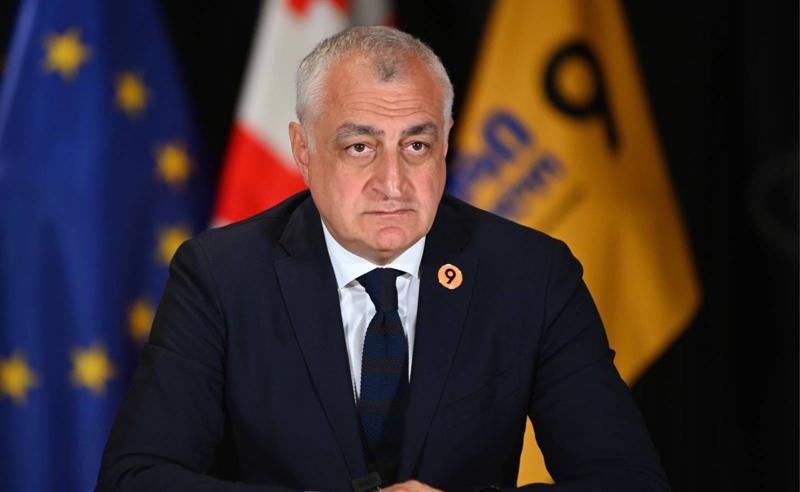"საქართველოს ტერიტორიული მთლიანობა ჩვენი საერთო ეროვნული საქმეა" - მამუკა ხაზარაძე