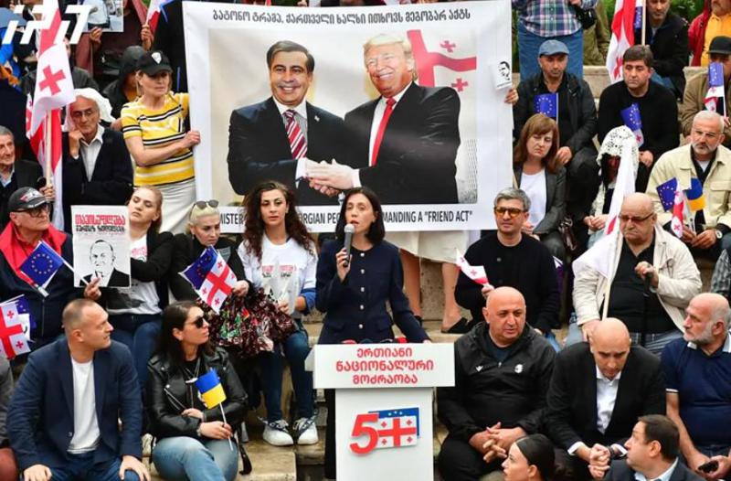 “ერთადერთი, ვისიც ივანიშვილს ეშინია, არის სააკაშვილი, მხოლოდ მას შეუძლია დაასრულოს ოლიგარქიული რეჟიმი“ - ანა წითლიძე