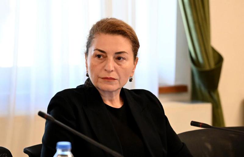 "მივმართავ იუსტიციის მინისტრს, მსჯავრდებულ გიორგი დავითაძის ფიზიკურ უსაფრთხოებაზე პასუხისმგებლობა აიღოს!" - სოფო ხორგუანი