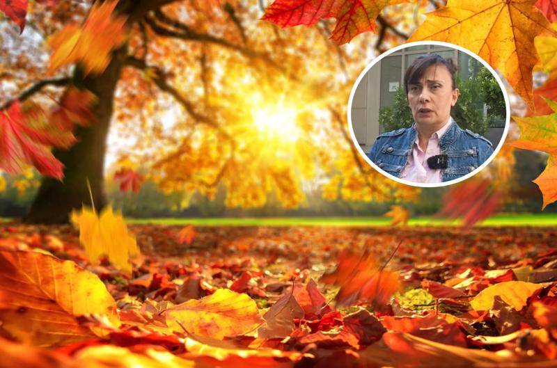 როგორი იქნება შემოდგომის დარჩენილი პერიოდი? - ამინდის გრძელვადიანი პროგნოზი (ვიდეო)