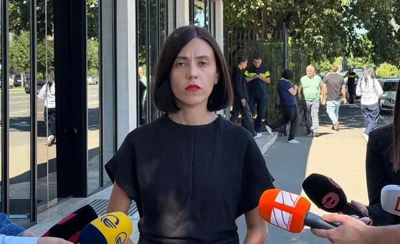 "ყველას მოვუწოდებ, თუ აქვთ საშუალება და სურვილი, რომ გამოიყენონ საპროცესო შეთანხმება - მე ამაში დასაძრახს ვერაფერს ვხედავ" - ანი წითლიძე