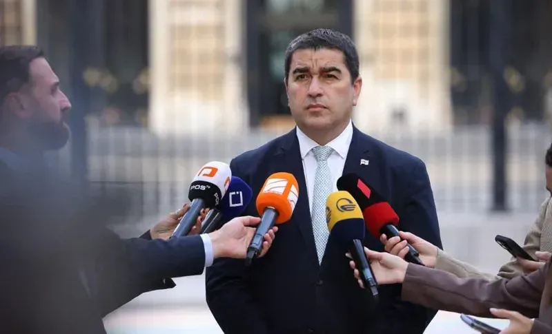 “რაც უფრო მეტად გაქებს ბრიუსელი, მით უფრო მეტად გვნებს“ - შალვა პაპუაშვილი
