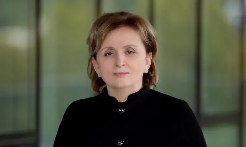 "ვტოვებ ეროვნული ბანკის საბჭოს წევრის თანამდებობას“ - რას წერს ნანა ყეინიშვილი, რომლის წინააღმდეგაც გამოძიება მიმდინარეობს