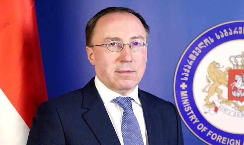 რა ქონებას ფლობს გიორგი ზურაბაშვილი, რომელიც რუსეთთან ურთიერთობის საკითხებში სპეციალურ წარმომადგენლად დაინიშნა