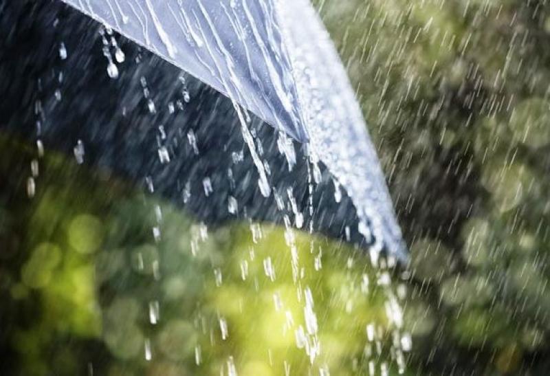 ხვალ საქართველოს ზოგიერთ რაიონში ძლიერი წვიმა და სეტყვაა მოსალოდნელი - ამინდის პროგნოზი