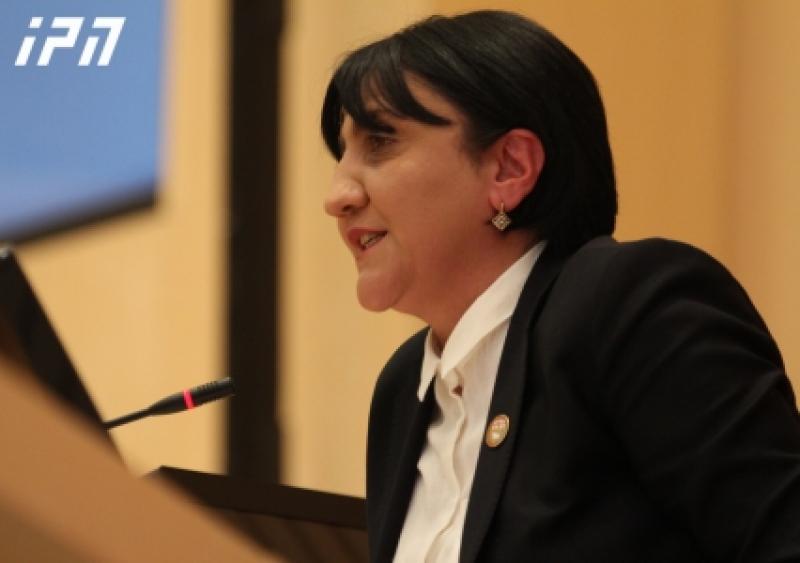 "თუ ფრიდონ ინჯია ​პარლამენტში შესვლაზე დათანხმდება, პარტიის დატოვება მოუწევს, სხვა ბიზნესმენები კი, მხოლოდ შემომწირველები იყვნენ" -  ირმა ინაშვილი