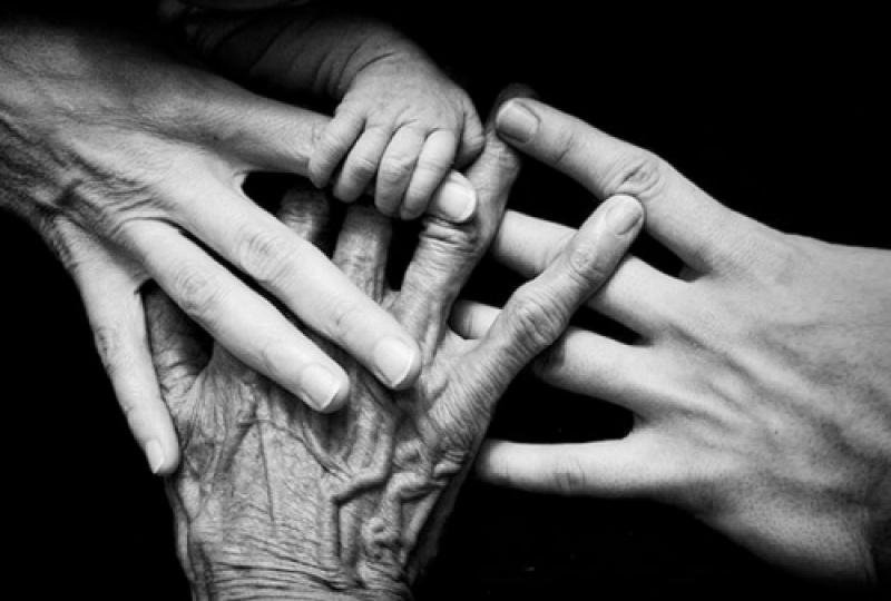 7 თაობის საიდუმლო - რატომ არის მნიშვნელოვანი მეტი გაიგოთ თქვენი წინაპრების შესახებ