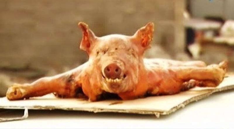 "გუშინ დავკალი ქალბატონო, რას ქვია ინძრევა?!" - სუპერსახალისო საახალწლო შეძახილები