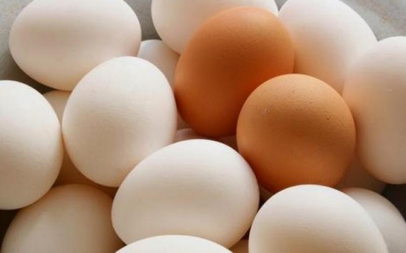 საქართველოში კვერცხი თურქმენეთიდანაც კი შემოაქვთ - "კვერცხს ვაწარმოებთ საკმარისზე მეტს. ამის ფონზე, სრულიად გაურკვეველი მიზეზებით შემოდის კვერცხი იმპორტით"