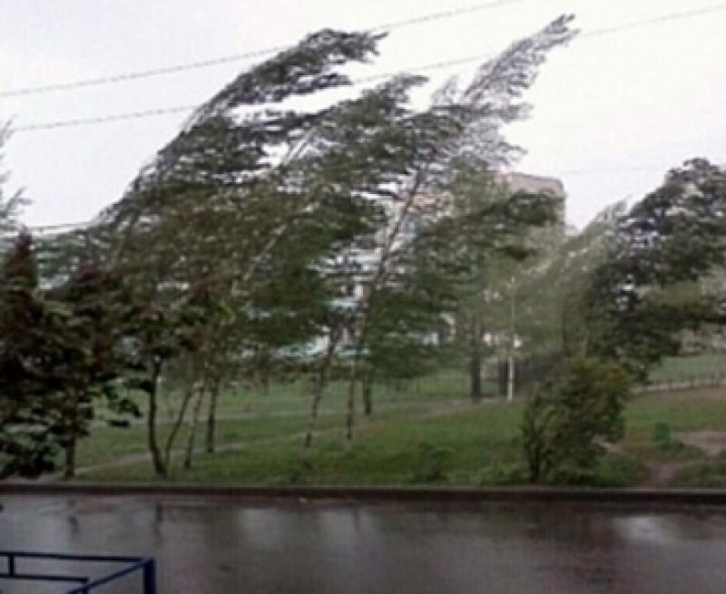 წვიმა და ძლიერი ქარი - როგორია უახლოესი დღეების პროგნოზი