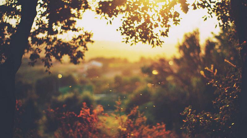 როგორი ამინდია მოსალოდნელი მომდევნო დღეების განმავლობაში