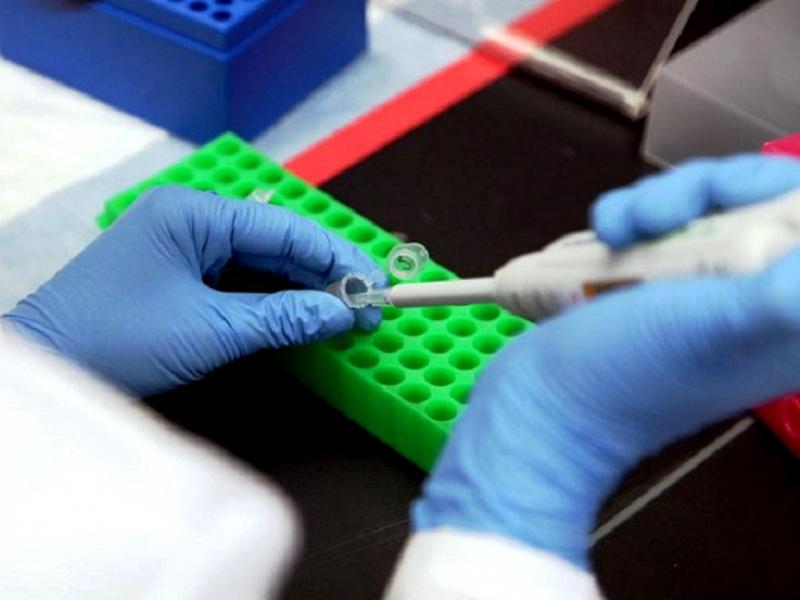 პაციენტი: "С ჰეპატიტი დამიდგინეს, განმეორებითმა ანალიზმა კი ვირუსი არ დაადასტურა" - რა მოხდა ლუგარის ლაბორატორიაში