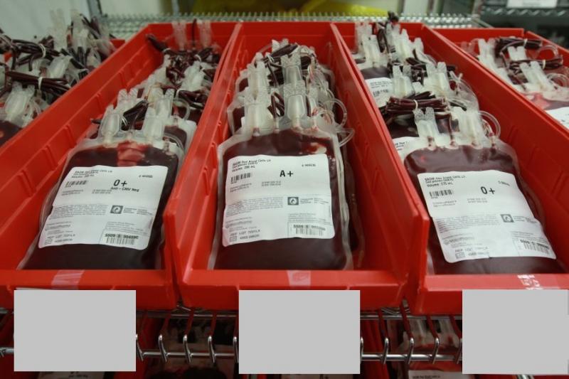 "არ მინდოდა ჯერ მეთქვა, მაგრამ... დიახ, უკვე გამოვიყენეთ გამოჯანმრთელებული პაციენტის პლაზმა კრიტიკულ პაციენტზე" - თენგიზ ცერცვაძე