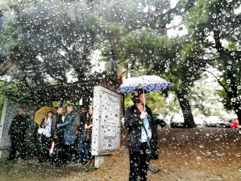 15 თებერვლამდე ნალექი, თოვლი და ზღვაზე შტორმია მოსალოდნელი