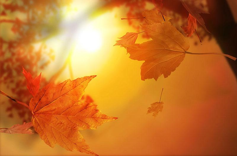 მომდევნო 3 დღე, საქართველოში უნალექო ამინდი იქნება