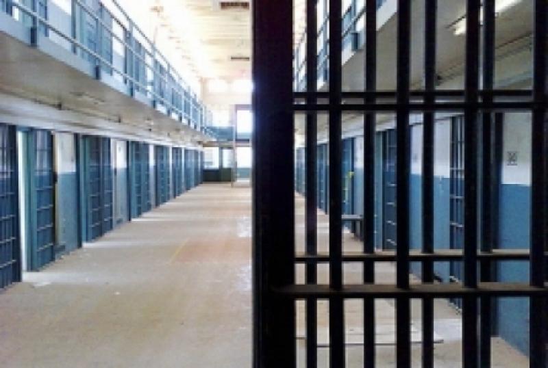 რომელი მუხლით გასამართლებულებს შეეხებათ ამნისტია?