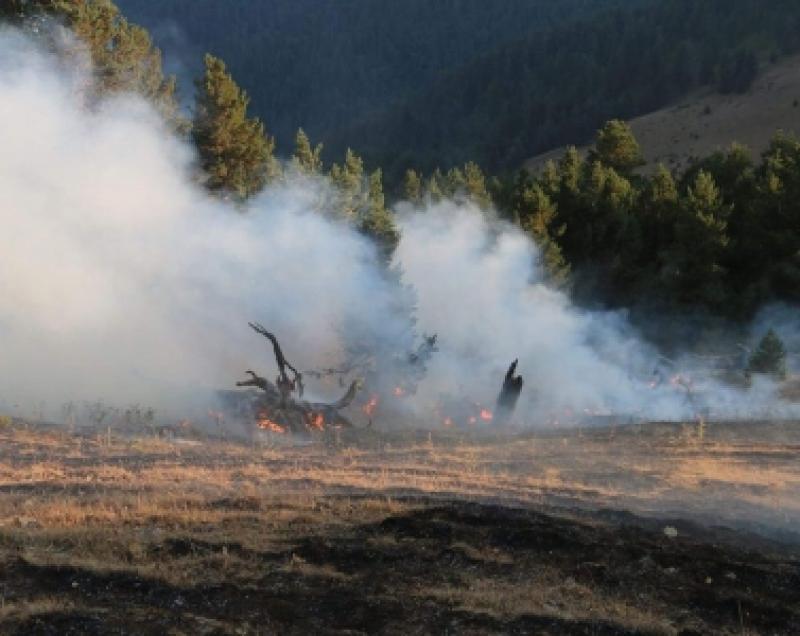 10 ადგილი საქართველოში, სადაც მეხანძრეები ტყის ხანძრს ამ დრომდე ებრძვიან