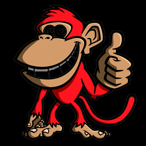 წითელი მაიმუნი მოხტის - ანუ რატომ უნდა მოასწროთ დასვენება სანამ 2016 დადგება