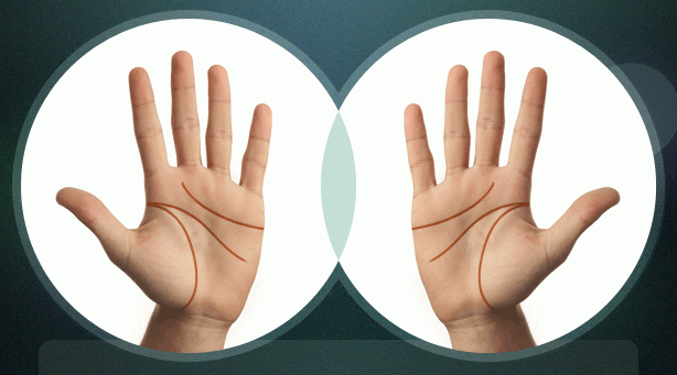 ქირომანტია (ხელისგულზე მკითხაობა) მარტივად: როდის დაოჯახდებით და როგორი ქორწინება გელით? 