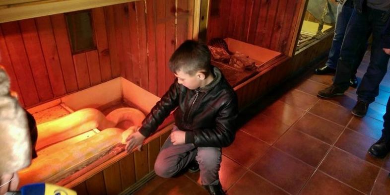 "გველების ნახვა მინდოდა და იმიტომ გავიპარე სახლიდან" - ხაშურიდან გამოპარული ბიჭი უკვე ზოოპარკშია