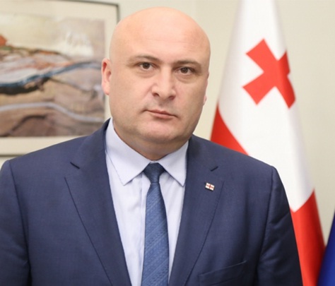 რა ქონებას ფლობს ინფრასტრუქტურის მინისტრის მოადგილე, რომელსაც წინა თანამდებობაზე პრემიერზე მაღალი ანაზღაურება ჰქონდა