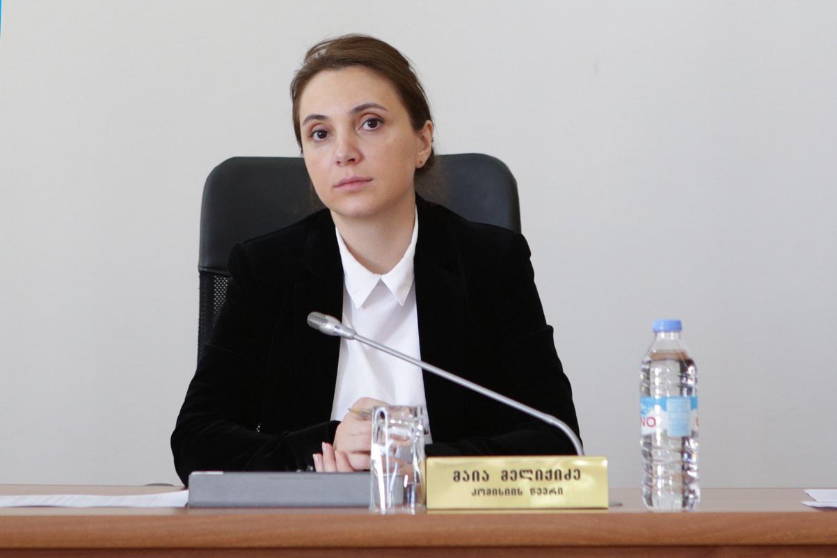 სემეკის წევრი მაია მელიქიძე ანგარიშგებისა და გამჭვირვალობის კონკურსის საერთაშორისო ჟიურის წევრია