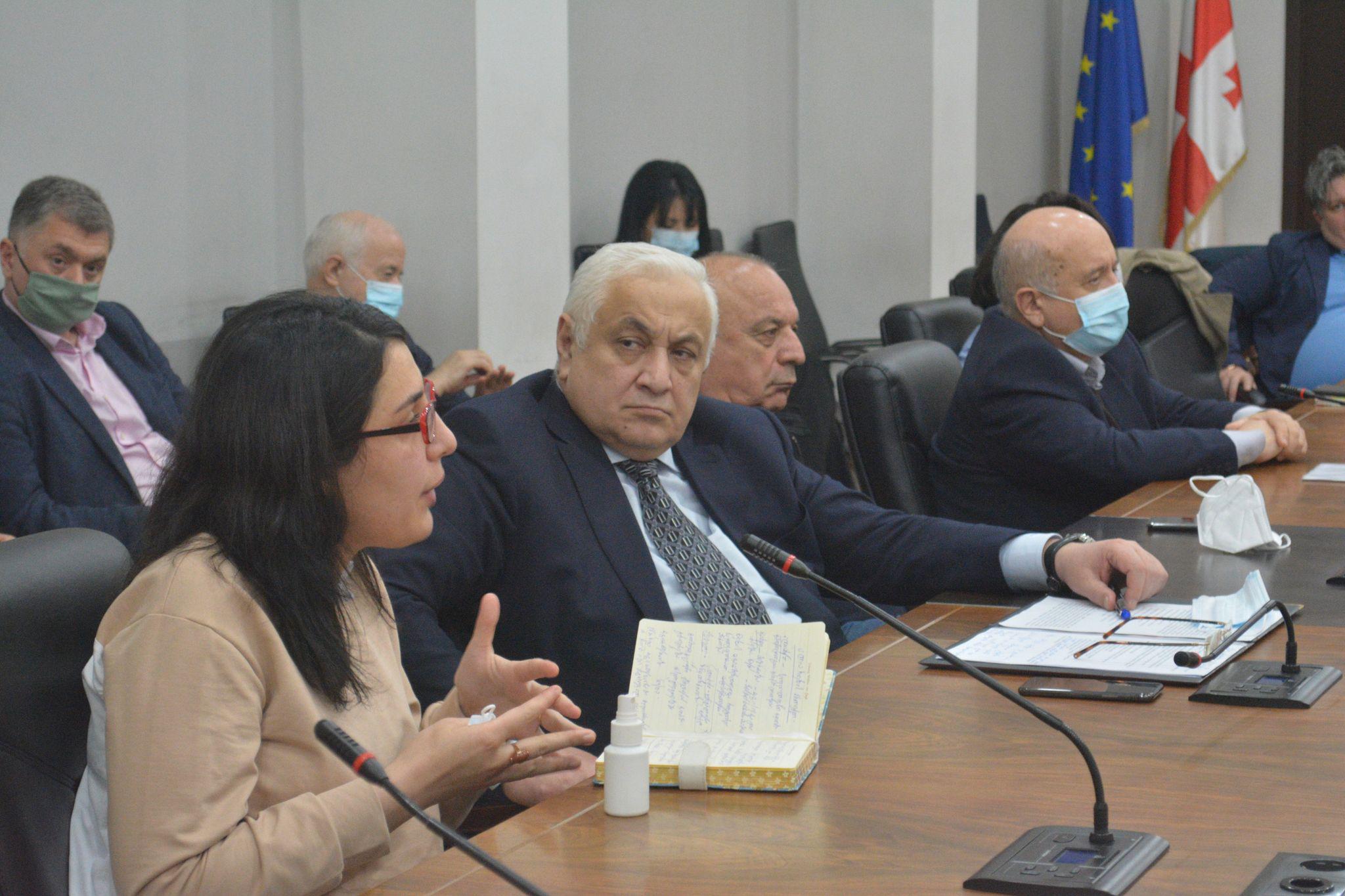 საქართველოს ტექნიკურ უნივერსიტეტში მომავლის საერთაშორისო პროექტები განიხილეს